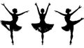 Ballet Dancer Silhouettes Performing Poses on White Background Royalty Free Stock Photo