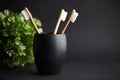 Three bamboo toothbrushes in a black glass with copy space