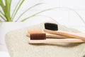 three bamboo toothbrushes on a coarse green natural fabric, white background copy space, top view, a potted plant