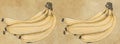 Three bananas on old paper background. Hand drawn illustration. Vintage style.
