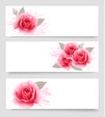 Three banners with pink roses. Royalty Free Stock Photo