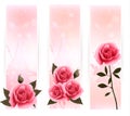Three banners with pink roses. Royalty Free Stock Photo