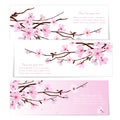 Three banners with Sakura flowers vector design illustration Royalty Free Stock Photo
