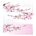 Three banners with Sakura flowers Royalty Free Stock Photo