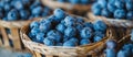 Baskets of Blueberries on Table Royalty Free Stock Photo