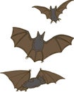 Three Bats. Set