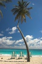 Three beach chairs, a Palm Tree and blue green waters