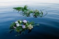 Three beautiful bouquets a wreath of flowers floating along the river calm water of Ivan Kupala