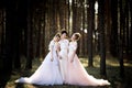 Three beautiful brides together. Royalty Free Stock Photo