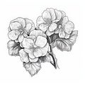 Highly Detailed Black And White Apple Blossom Drawing