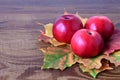 Three beautiful red apples and yellow maple leaves are lying on wooden table. Harvest time. Royalty Free Stock Photo