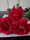 Three beautiful red rose with stems and green leaves image studio decoration