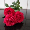 Three beautiful red rose with stems and green leaves image studio decoration
