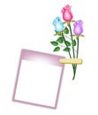 Three Beautiful Roses with Purple Blank Photo Royalty Free Stock Photo