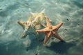 Three beautiful starfish in the water close up. Generative AI