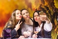 Three beautiful woman Royalty Free Stock Photo