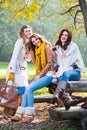 Three beautiful young women in the park Royalty Free Stock Photo