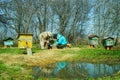 Three beekeepers work on an apiary at hive. Sunny day.