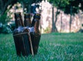 Three beer bottle on the grass Royalty Free Stock Photo