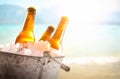 Three beer bottles in bucket full of ice cubes beach Royalty Free Stock Photo