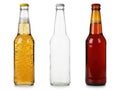 Three beer bottles isolated on white background Royalty Free Stock Photo