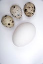 Four eggs on a sheet of white paper - three beige quail eggs and one white large chicken egg on a white background. Royalty Free Stock Photo