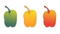3 (three) bell pepper colors, green, orange and and red (gradients with yellow) Royalty Free Stock Photo