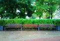 Three benches in city park background Royalty Free Stock Photo