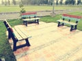 Three benches in lawn of park Royalty Free Stock Photo