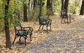 Three benches - RAW format Royalty Free Stock Photo