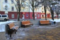 Three benches in park. Snow covered benches and trees in city park