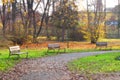 Three benches Royalty Free Stock Photo