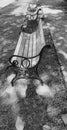 Three benches in a row Royalty Free Stock Photo