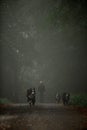 three Bernese mountain dogs running on road. dark forest and man on background