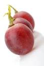 Three berries of red grapes abreast Royalty Free Stock Photo