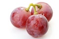 Three berries of red grapes close up Royalty Free Stock Photo