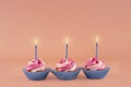 three berry birthday muffins in blue wrappers with colorful candles on a pink background high-quality photos for calendar and Royalty Free Stock Photo