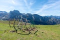 Three big bicycle at Aubisque Pass of the French Central Pyrenees,France