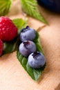 Three big blue blueberries on green leaf Royalty Free Stock Photo