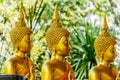 Three Big Buddha gold statues at the Temple Thailand Royalty Free Stock Photo