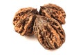 Three big wild walnuts. isolated on white background Royalty Free Stock Photo