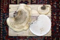 Three birch polypore mushrooms top view