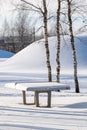 three birch tree trunks and a snow-covered tennis table in winter Royalty Free Stock Photo