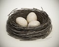 Three bird eggs inside bird\'s nest. 3D illustration