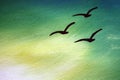 Three birds flying in the sky, painted with flowers in a cloth with a cloth. Place for inscription Royalty Free Stock Photo