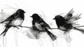 Three birds perched on a wire, illustrated in a monochromatic ink-blotted style on a white background, conveying a Royalty Free Stock Photo