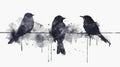 Three birds perched on a wire, illustrated in a monochromatic ink-blotted style on a white background, conveying a Royalty Free Stock Photo