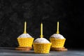 Three birthday cupcakes in paper cups with extinguished birthday candles on dark background Royalty Free Stock Photo