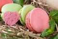 Three biscuit macaroni and heart on the hay with mint leaves