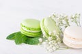 Three biscuit macaroni lie with a white flower and mint leaves on a white background